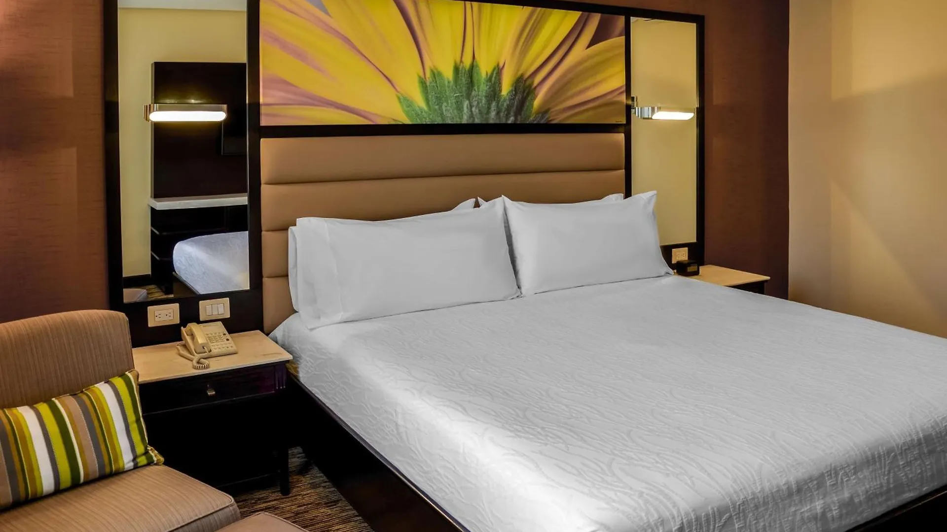 Hotel Hilton Garden Inn Guatemala City